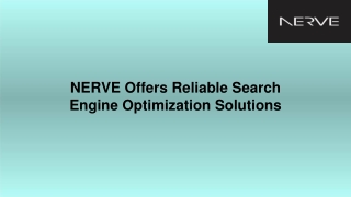 NERVE Offers Reliable Search Engine Optimization Solutions