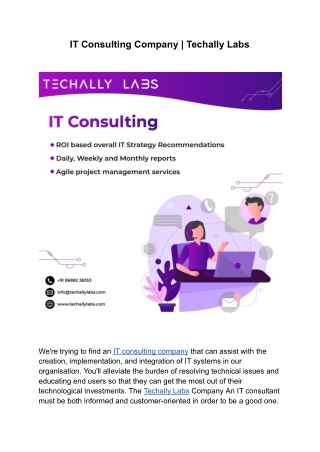 IT Consulting Company | Techally Labs