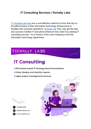 IT Consulting Services | Techally Labs