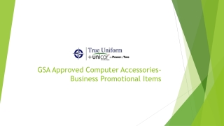 GSA Approved Computer Accessories-Business Promotional Items