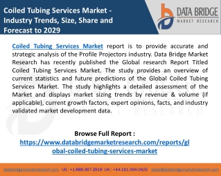 Coiled Tubing Services Market is expected to Witness the Highest Growth by 2029