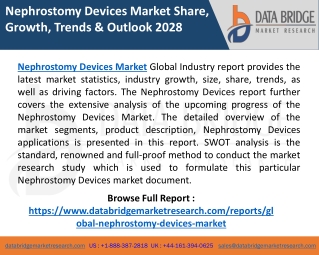 Nephrostomy Devices Market 2022 Global Trend, Size, Share, Growth, Opportunities