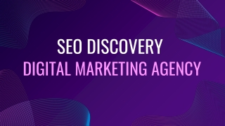 SEO Discovery