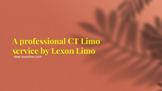 A professional CT Limo service by Lexon Limo