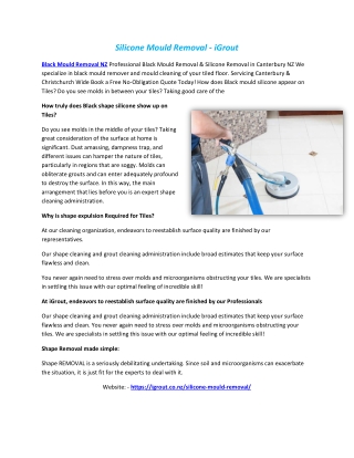 Black Mould Removal NZ