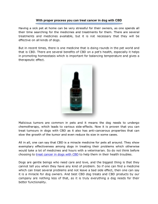 With proper process you can treat cancer in dog with CBD