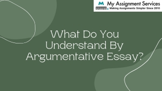 What Do You Understand By Argumentative Essay