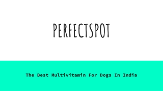 10 Best Multivitamin For Dogs In India