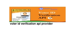 Voter id verification api provider