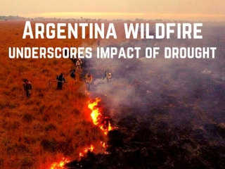 Argentina wildfire underscores impact of drought