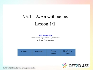 Introductory Lesson Plan: A/An With Nouns