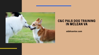 C&C PALS Dog Training in McLean VA