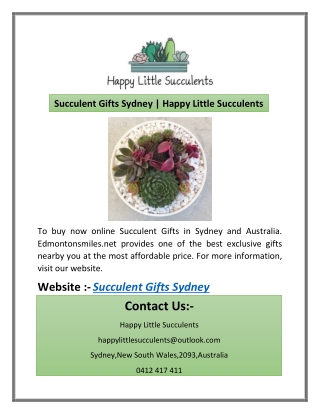 Succulent Gifts Sydney | Happy Little Succulents