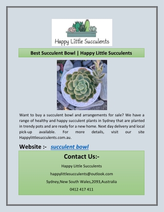 Best Succulent Bowl | Happy Little Succulents