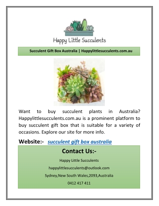 Succulent Gift Box Australia | Happylittlesucculents.com.au