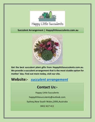 Succulent Arrangement | Happylittlesucculents.com.au