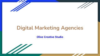 Digital Marketing Agencies