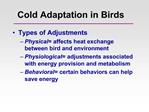 Cold Adaptation in Birds