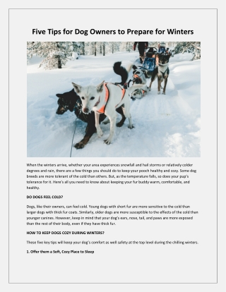 Tips for Dog Owners for Winters