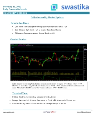 Commodity daily levels (21-Feb.) (1)
