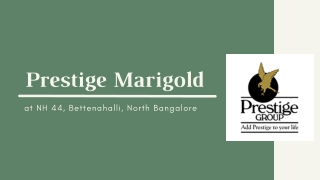 Prestige Marigold at NH-44 Bettenahalli, Bangalore| PDF