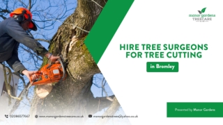 Hire Tree Surgeons For Tree Cutting in Bromley