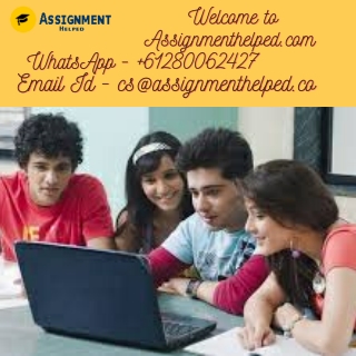 University Assignment Help