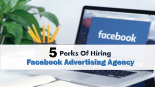 5 Perks Of Hiring Facebook Advertising Agency