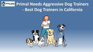 Primal Needs Aggressive Dog Trainers - Best Dog Trainers in California