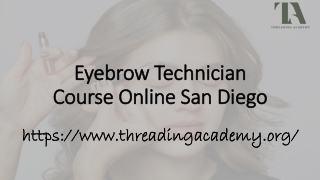 Eyebrow Technician Course Online San Diego