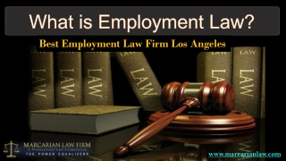 What is Employment Law? Best Employment Law Firm Los Angeles