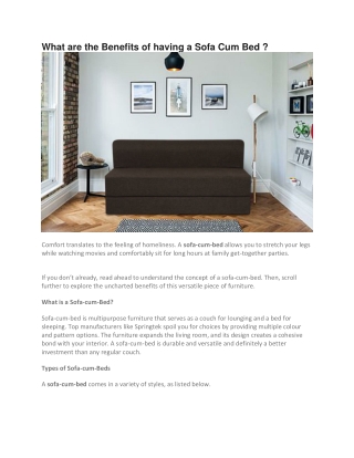 What are the Benefits of having a Sofa Cum Bed