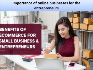 Importance of online businesses for the entrepreneurs