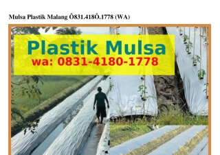 Mulsa Plastik Malang O83I-ㄐI8O-I778{WhatsApp}