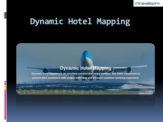 Dynamic Hotel Mapping