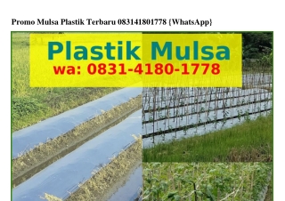 Promo Mulsa Plastik Terbaru ౦8ᣮl_Ꮞl8౦_lᜪᜪ8{WhatsApp}