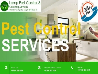 pest control companies Dubai