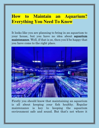 Buy an Aquarium | Aquatic-Sealife