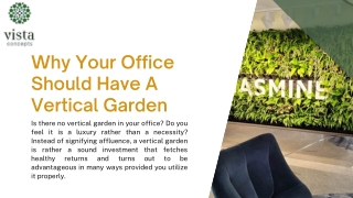 Why Your Office Should Have A Vertical Garden