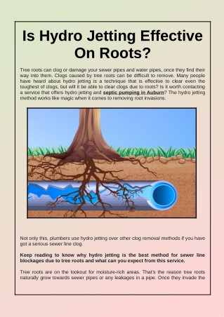 Is Hydro Jetting Effective On Roots