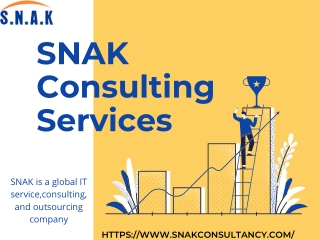 About Us | Why Choose SNAK Consulting Services | SCS