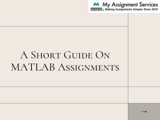 A Short Guide On MATLAB Assignments
