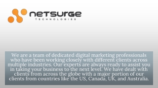 SEO Services Company - Netsurge