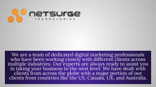 Web Design & Development Services - Netsurge