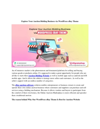 Explore Your Auction Bidding Business via WordPress eBay Theme