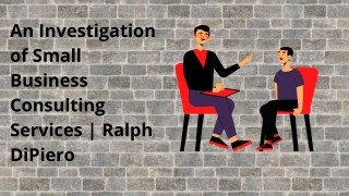 Details about Small business Consulting strategies | Ralph DiPiero