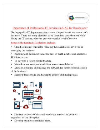 Importance of Professional IT Services in UAE for Businesses