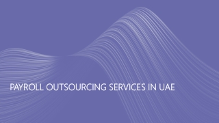 Payroll Outsourcing Services in UAE