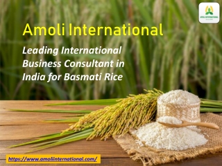 Amoli International Leading International Business Consultant in India