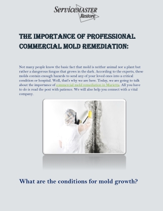 Get The Top Professionals For Commercial Mold Remediation In Marietta